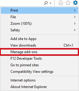 ie-1.PNG
