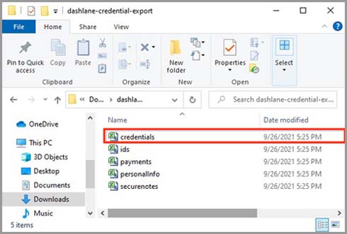 6_Dashlane_Windows_export_credentials.jpg