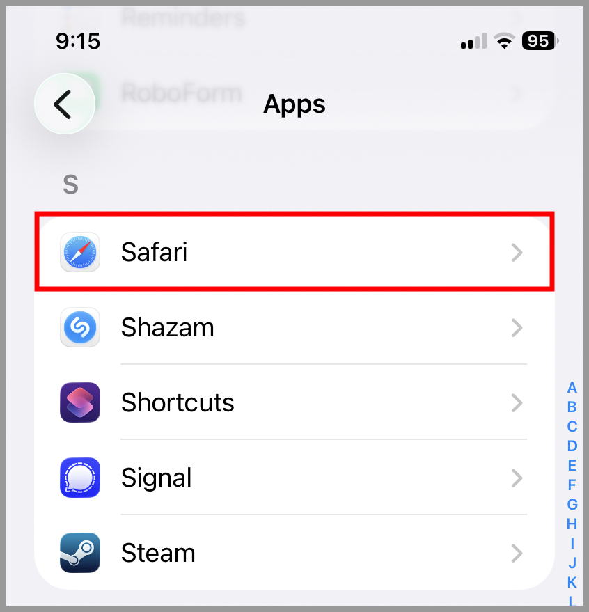 ios_safariext_safari_2.jpg