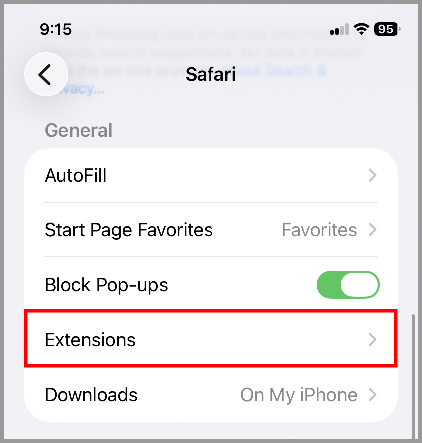 ios_safariext_extensions_3.jpg